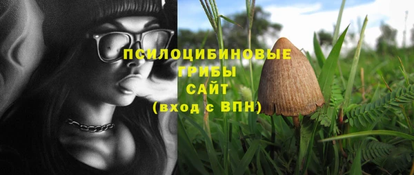 дживик Дмитриев