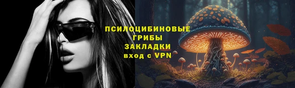 ПСИЛОЦИБИНОВЫЕ ГРИБЫ Елабуга