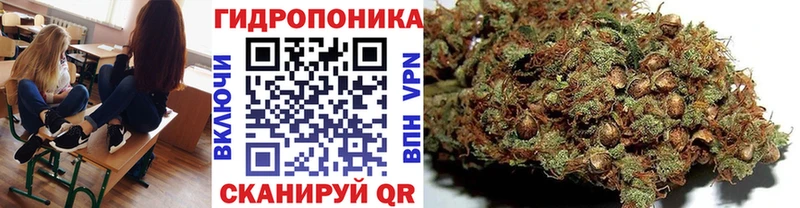Канабис OG Kush  кракен онион  Нея  купить наркоту 